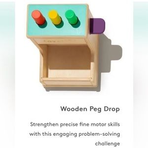 • Lovevery • Kids Montessori Toys Part of the Thinker Play Kit Wooden Peg Drop